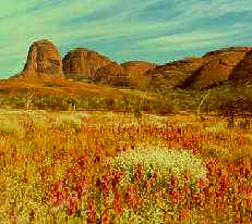 The Olgas - Northern Territory