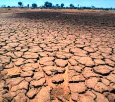 The tragedy of a drought-torn country.