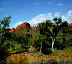 The splendour of Kings Canyon, Northern Territory