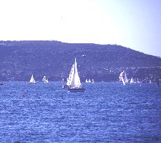 Sydney Harbour yachts