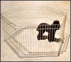 Folding Puppy Pen from Pet Network. This pen has 6 panels 70cm wide and 60cm high zinc plated.