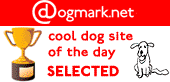 Dogmark Cool Site of the Day - May 17th, 2001